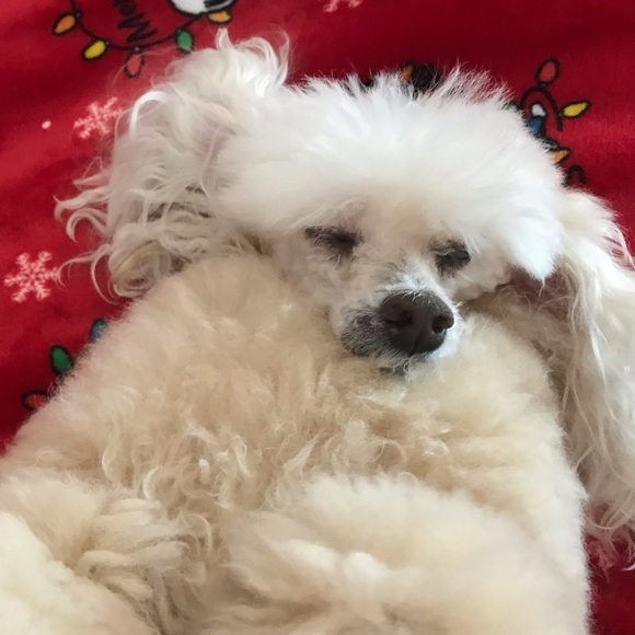 Meet your Posher - Picture 1 of 1